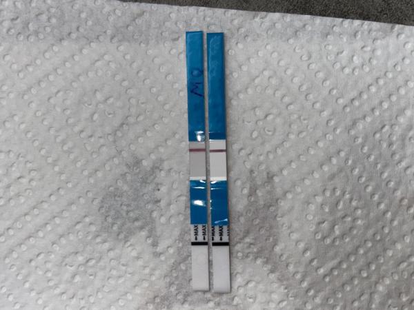 Bild zu Spielen meine augen mir einen streich ? - Kinderwunsch - bitte noch ein Baby