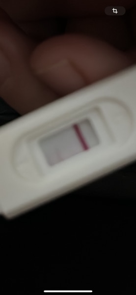 Bild zu Positiver Mivolis Test ? - Kinderwunsch - bitte noch ein Baby