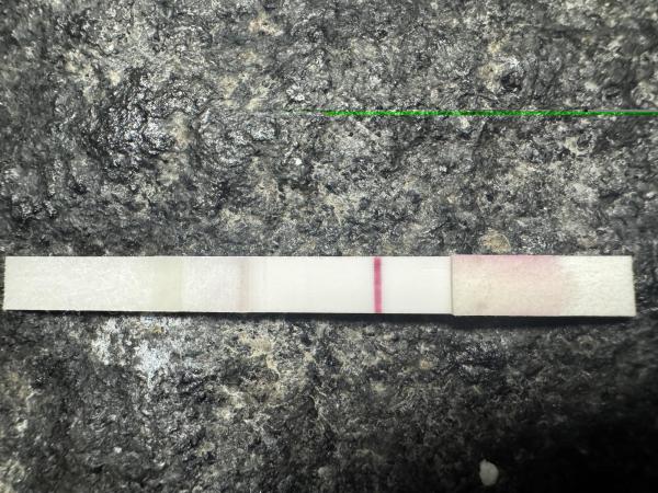 Bild zu Wer würde mal schauen? - Kinderwunsch - bitte noch ein Baby