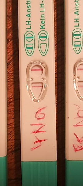 Bild zu Erste Mal ovutest ausprobiert - Kinderwunsch - bitte noch ein Baby