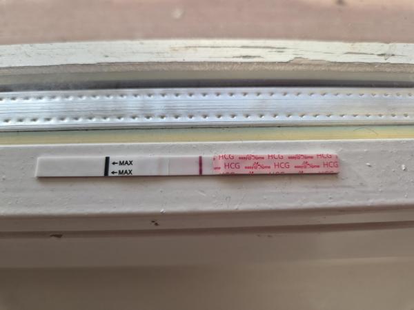 Bild zu Seht ihr auch was? - Kinderwunsch - bitte noch ein Baby