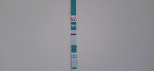 Bild zu Clearblue positiv, 1 Woche später negativ - Kinderwunsch - bitte noch ein Baby