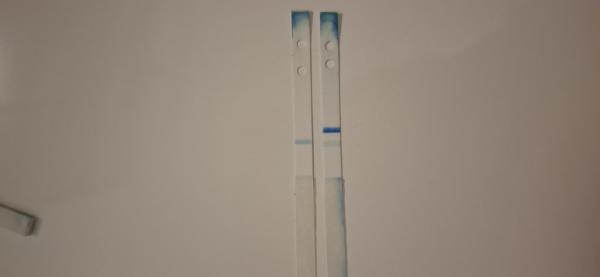 Bild zu Clearblue positiv, 1 Woche später negativ - Kinderwunsch - bitte noch ein Baby