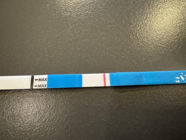 Bild zu Verwirrender Zyklus - Kinderwunsch - bitte noch ein Baby