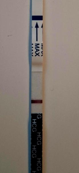 Bild zu Verdunstungslinie beim Onestep oder Positiv? - Kinderwunsch - bitte noch ein Baby