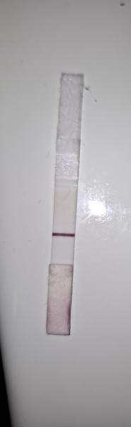 Bild zu VL oder schwanger - Kinderwunsch - bitte noch ein Baby