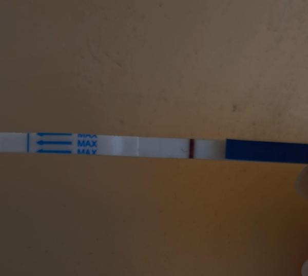 Bild zu Frage sst - Kinderwunsch - bitte noch ein Baby