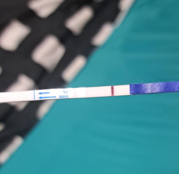 Bild zu Mädels schaut mal - Kinderwunsch - bitte noch ein Baby