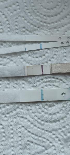 Bild zu Schwangerschaftstest trotz Ungeregelmäßigen Zyklus - Kinderwunsch - bitte noch ein Baby