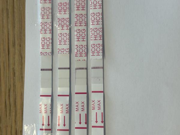 Bild zu Steigerung zu schwach? ES + 13 - Kinderwunsch - bitte noch ein Baby