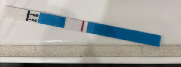 Bild zu Verdunstungslinie oder zweite Linie? - Kinderwunsch - bitte noch ein Baby