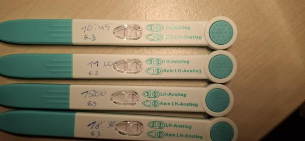 Bild zu Ovutest Positiv oder Negativ ? 😊 - Kinderwunsch - bitte noch ein Baby