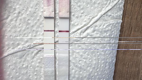 Bild zu Teststreifen leicht positiv aber digital negativ ES+9 - Kinderwunsch - bitte noch ein Baby