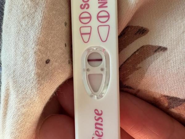 Bild zu Seht ihr was? - Kinderwunsch - bitte noch ein Baby