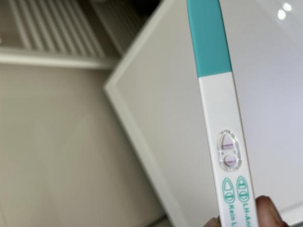 Bild zu Ovu test positiv? - Kinderwunsch - bitte noch ein Baby
