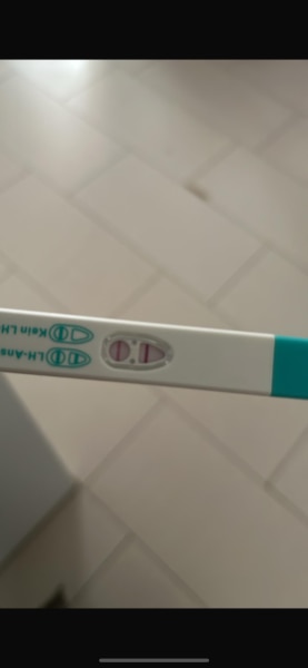 Bild zu Ovu test positiv? - Kinderwunsch - bitte noch ein Baby