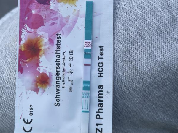 Bild zu 