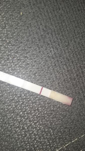 Bild zu Periode 2 tage überfällig ist auf dem test eine zweite Linie zu sehen oder ist es die verdunstungslinie - Kinderwunsch - bitte noch ein Baby