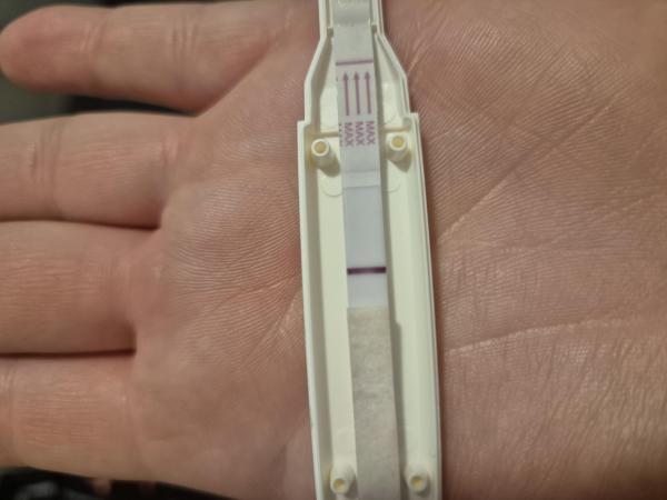 Bild zu Kinderwunsch - Kinderwunsch - bitte noch ein Baby