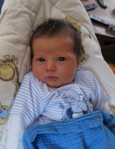 Bild zu Unser "Wunder" hat das Licht der Welt erblickt - Kinderwunschbehandlung