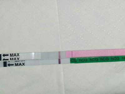 Bild zu positiv?? - Kinderwunschbehandlung