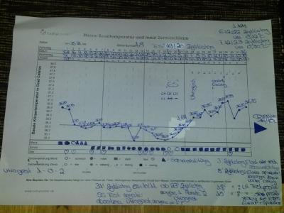 Bild zu Spermiogramm + Utrogest weiter nehmen wenn ein SST gaaanz leicht positiv ist? - Kinderwunschbehandlung