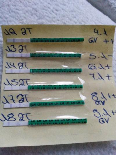 Bild zu Durch Utrogest diesen Zyklus Probleme, kann ich noch hoffen :( ? - Kinderwunschbehandlung