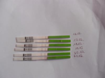 Bild zu HIlfe wegen Ovutests - Kinderwunschbehandlung