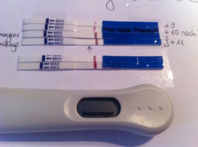 Bild zu Schwanger! - Kinderwunschbehandlung