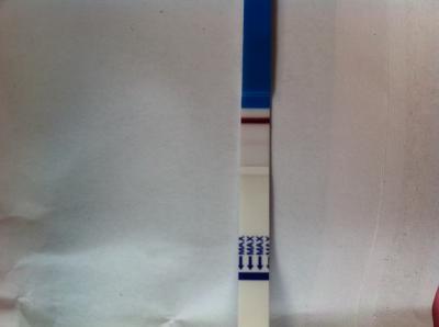 Bild zu Sst heute an pu+11 - Kinderwunschbehandlung