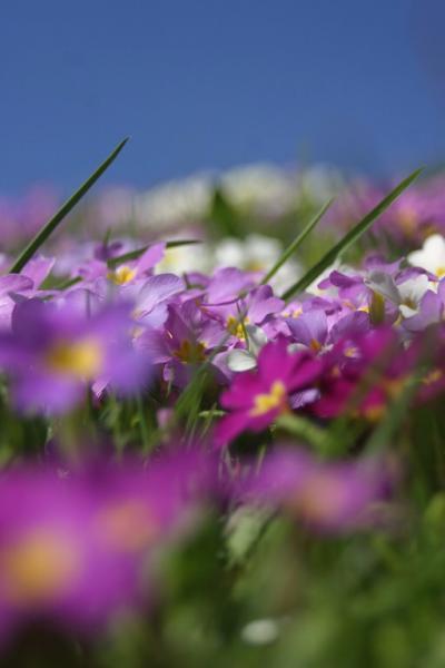 Bild zu An alle =:o) - Kinderwunschbehandlung