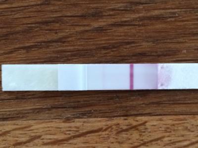 Bild zu Foto Transfer plus 6 oder punktion plus 10 - Kinderwunschbehandlung