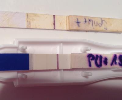 Bild zu Neu hier und Brauch mal nen Rat Pu+15 TF+12 - Kinderwunschbehandlung