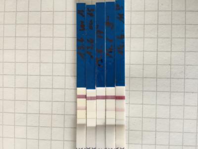 Bild zu morgen BT - Kinderwunschbehandlung