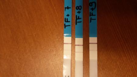 Bild zu Testphase beginnt - Kinderwunschbehandlung