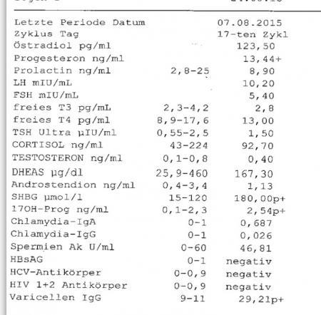 Bild zu Ergebnis meiner Hormonanalyse - Kinderwunschbehandlung
