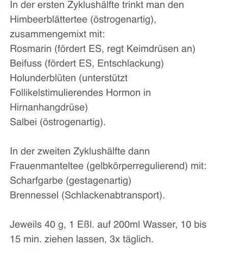 Bild zu ICSI und Tee 's - Kinderwunschbehandlung