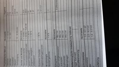 Bild zu neues Spermiogramm, nach 2 negativen ICSI´s - Kinderwunschbehandlung