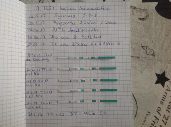 Bild zu niemals aufgeben ;) - Kinderwunschbehandlung