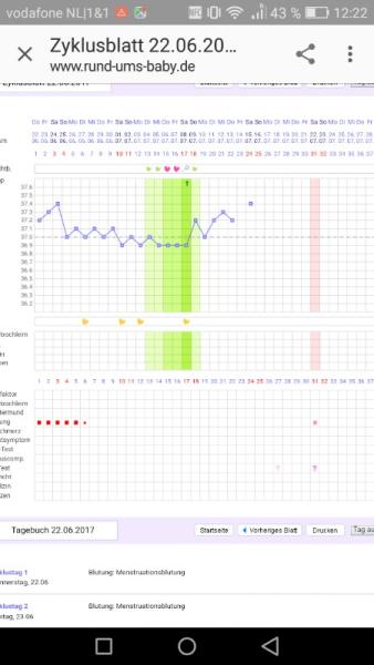 Bild zu Tempi Kurve - Kinderwunschbehandlung
