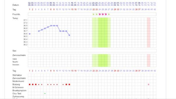 Bild zu Zt2 - letzter Zyklus nur 13 tage - Kinderwunschbehandlung