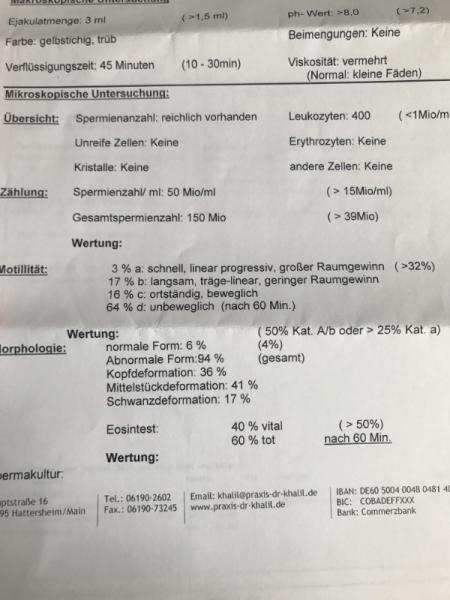 Bild zu Spermiogramm - Kinderwunschbehandlung
