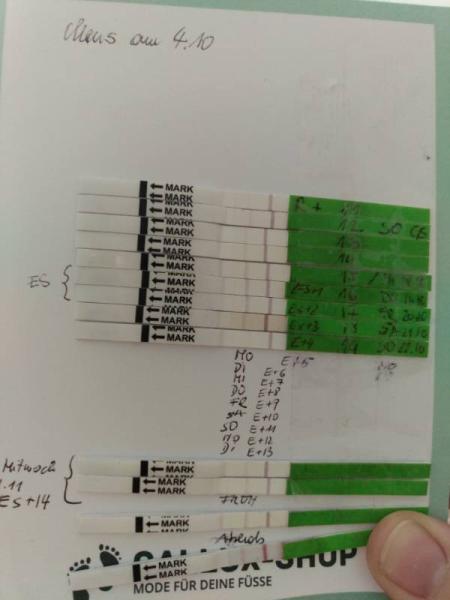 Bild zu Dyphaston - Kinderwunschbehandlung