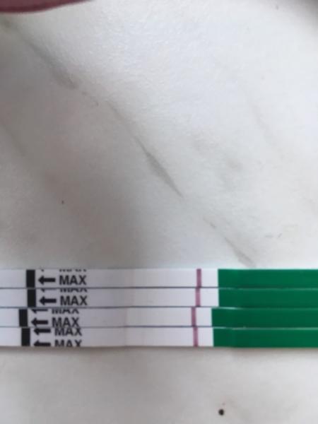 Bild zu es +12 tf+7 - Kinderwunschbehandlung