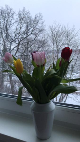 Bild zu Grüße aus dem Krankenhaus:// - Kinderwunschbehandlung