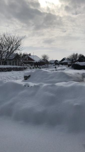 Bild zu Transfer +1 - Gefühlschaos & Schnee schieben ;) - Kinderwunschbehandlung