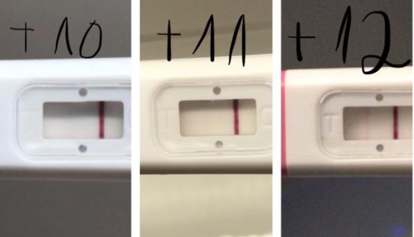 Bild zu PU + 12 — 2. Strich wird deutlicher - Kinderwunschbehandlung