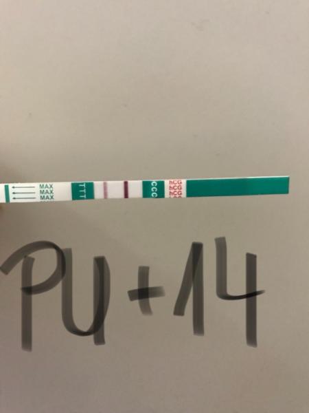 Bild zu Test PU + 14 (und allen hibbeligen ein schönes Wochenende) - Kinderwunschbehandlung