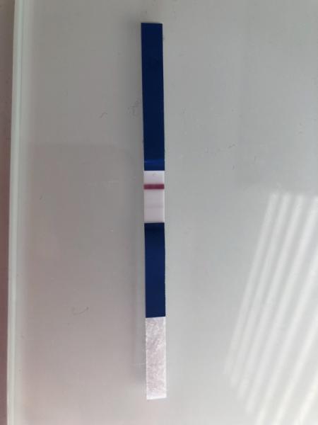 Bild zu Positiv oder VL: 10er ES+12, respektive Spritze+13 - Kinderwunschbehandlung