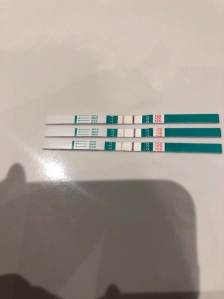 Bild zu Testreihe - schwanger? - Kinderwunschbehandlung